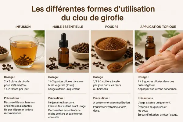 Infusion, huile, poudre, application topique : découvrez les bienfaits du clou de girofle et comment l'utiliser.